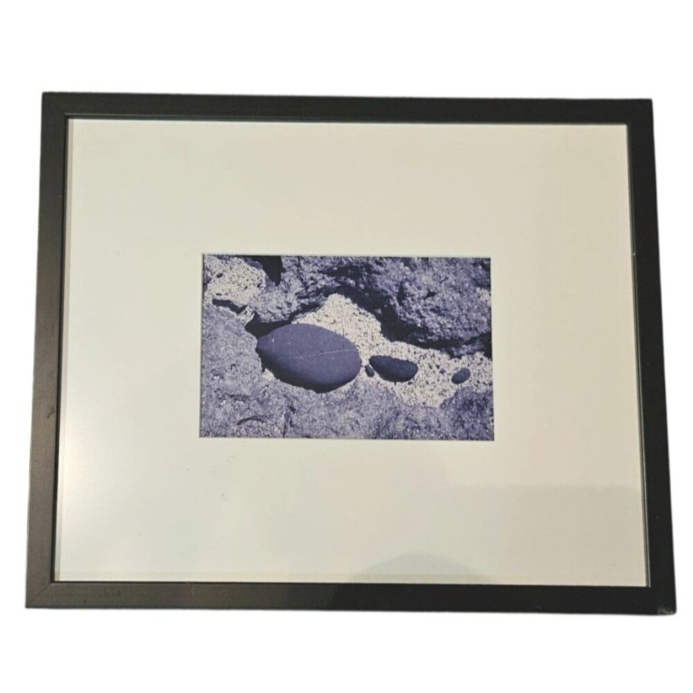 Vintage Photo Framed Nature-Inspired Abstract Black With White Matting 15x17